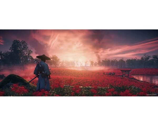 Ghost of Tsushima DIRECTOR’S CUT